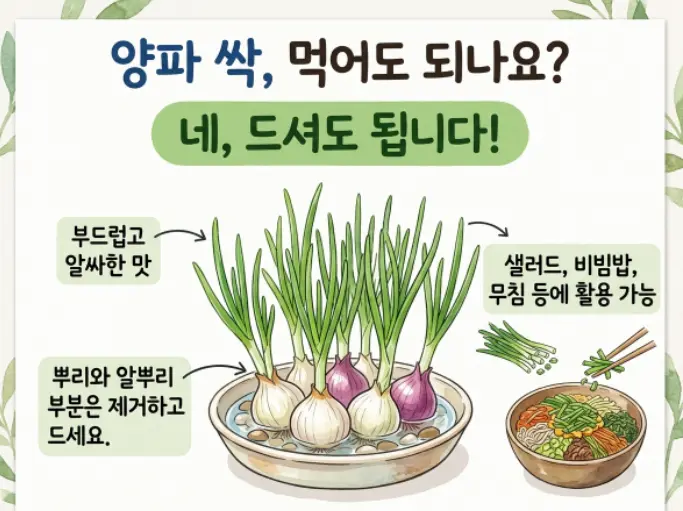 양파싹-먹어도-되나요