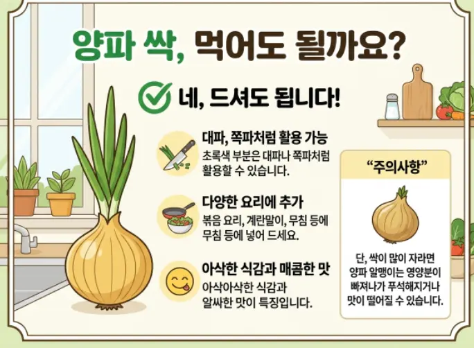 양파싹-먹어도-되나요-2