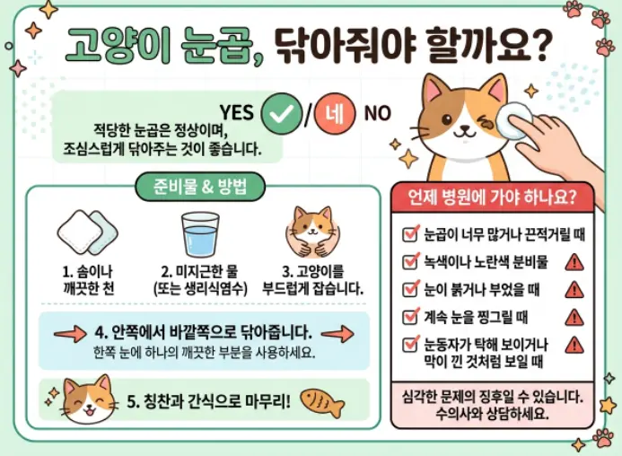 고양이-눈꼽-떼줘야-하나요-1