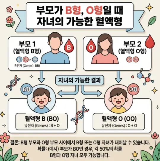 B형과 O형 부모 사이에서 태어날 수 있는 자녀의 혈액형