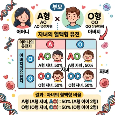 AB형-O형-부모-사이에서-자녀의-혈액형