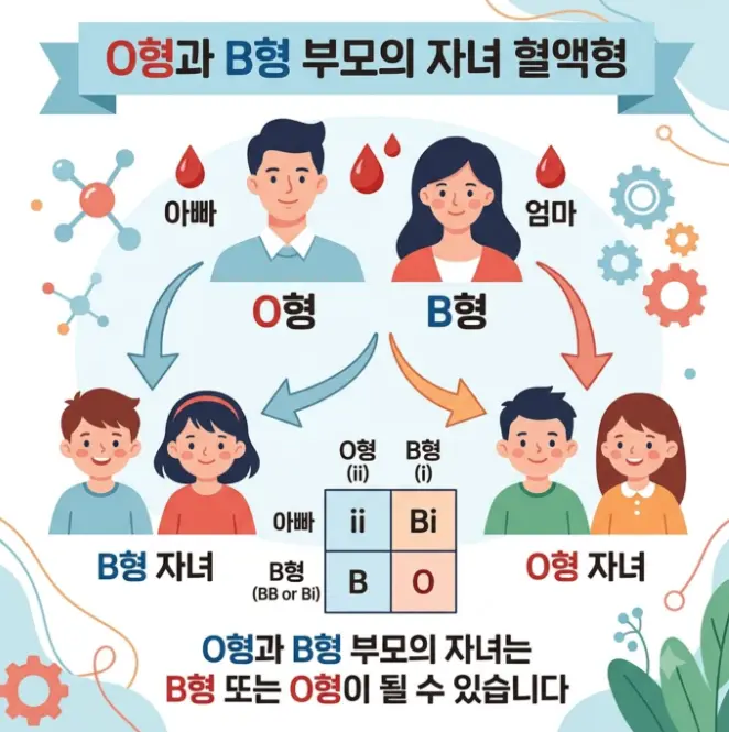 o형-b형-부모에서-자식-혈액형